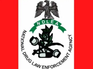 NDLEA Shortlisted Candidates 2026/2027 PDF Download: Check Your Name and Screening Updates