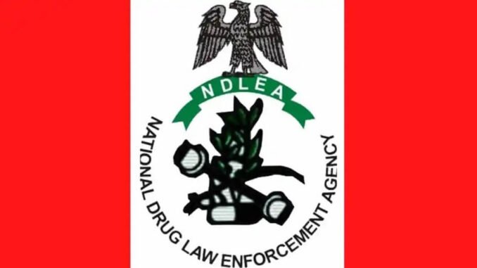 NDLEA Shortlisted Candidates 2026/2027 PDF Download: Check Your Name and Screening Updates