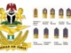Nigerian Air Force Ranks and Symbols/Insignia in Nigeria: Full List Explained