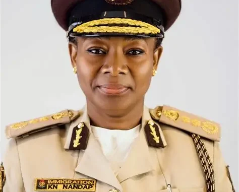 HND Rank in Nigeria Immigration Service, Salary and Allowances 2026/2027 (Highest Paying Immigration Jobs)