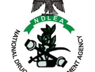 NDLEA Recruitment Form 2026/2027: Requirements, Portal and How to Apply