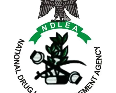 NDLEA Recruitment Form 2026/2027: Requirements, Portal and How to Apply