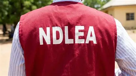 NDLEA Salary Structure 2026: Ranks, Monthly Salary and Allowances in Nigeria