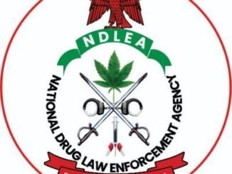 NDLEA Training Allowance 2026, Duration, Training Date and Camp Requirements