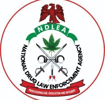 NDLEA Training Allowance 2026, Duration, Training Date and Camp Requirements